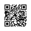 40559-197-000 Шайба