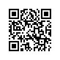 4060405A KITBRAKELINE,FRTLWR,FL
