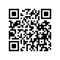 409-17141-00-00 