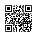 409-17161-00-00 