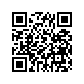 409-17221-00-00 
