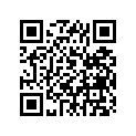 409-17251-00-00 