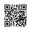 409-17261-00-00 