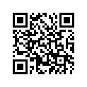 409-17429-00-00 