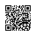 409-17447-01-00 