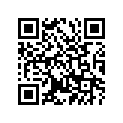 409-25104-00-00 