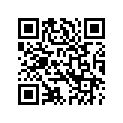40900486 WHL,RR,SOLIDDISK,BLK,18X