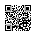 41002-1003 Tire 300-21  y959c  f