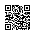 41002-1328 Tire,fr,2.75-18 4pr f