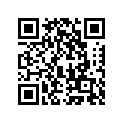 41002-1564 タイヤ，fr，100/90-16 54h，g527a(bs