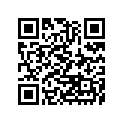 41002-1597 タイヤ，FR，2.75-21 4PR，K260(D)