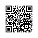 41002-1656 タイヤ，FR，100/90-17 55S，F17(D)