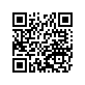 41002-1728 タイヤ，RR，140/90-15 70S，G524(BS)