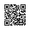 41002-1857 タイヤ，RR