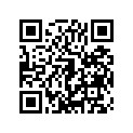 41002-1868 タイヤ，FR，110/70-17 54H，K505FM(D)
