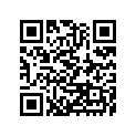 41002-1902 タイヤ，RR