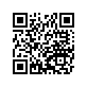 41002-1916 タイヤ，rr，4.60-18 63p，tw52a(bs)