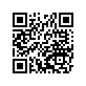 41002-1924 タイヤ，FR，80/100-21 51P，TW51