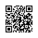 41002-1943 タイヤ，RR