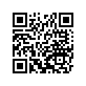 41002-1958 タイヤ，FR，120/70-17 58H，K505F(D)