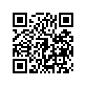 41009-0031 タイヤ，100/90-12 49J，K178(D)