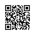 41009-0035 タイヤ，FR，80/100-21，M201(BS)