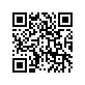 41009-0057 タイヤ，100/90-12 49J，K178(D)