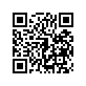 41009-0153 タイヤ，FR，80/100 51P，ED03(BS)