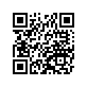 41009-0190 タイヤ，FR，120/70ZR17(58W)，R.S. G