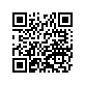 41009-0219 タイヤ，FR，110X70-17 54S，RX-01F