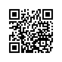 41009-0245 タイヤ，FR，110/70-17 54S，RX-01F