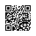 41009-0251 タイヤ，FR，110X70-17 54S，RX-01F