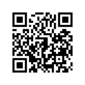41009-0271 TIRE，100/90-12 49J，MB99(IRC)