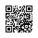 41009-0698 TIRE,FR,100/90-12 49J,NR77U(IRC)