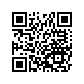 41009-1079 タイヤ，FR，100/80-17 52S，K275F(D)