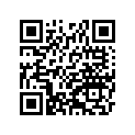 41009-1089 タイヤ，FR，110/80-17 57H，G601(BS)