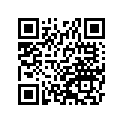 41009-1104 タイヤ，FR，100/90-17 55S，F17(D)