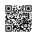 41009-1127 タイヤ，100/90-12 48J，K778(D)