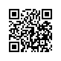 41009-1142 タイヤ，FR，120/70-18 59V，G601(BS)