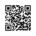 41009-1225 タイヤ，FR，120/80-17 61S，G701G(BS