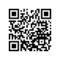 41009-1239 タイヤ，FR，100/90-19 57H，AC03(BS)