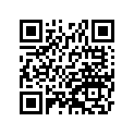 41009-1258 タイヤ，FR，60/100-14 30M，D756