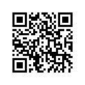 41009-1322 タイヤ，FR，90/90-17 49P，NF53(