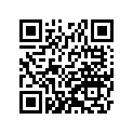41009-1357 タイヤ，FR，3.00-21 51P，D605 FG(D)