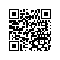 41009-S009 Tire