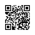 41009-S010 Tire