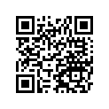 41009-S011 TIRE