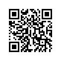 41009-S021 タイヤ，FR，110/90-13 55P
