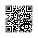 41009-S022 タイヤ，RR，130/70-13 57P