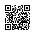 410090717 